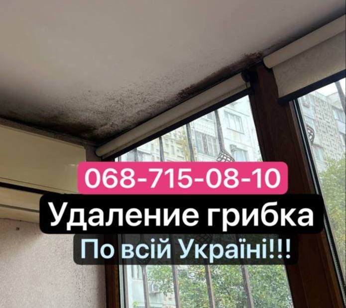 Удаление грибка - Уборка плесени ‼️Гарантия три года! Плесень - Грибок
