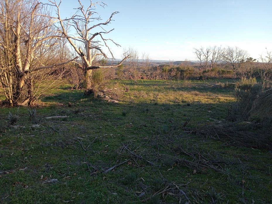 Terreno para construção