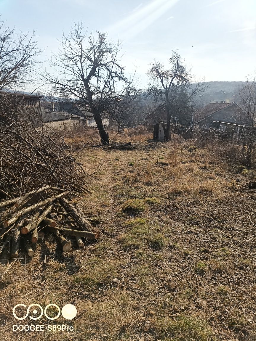 Участок земля ,с Камяниця