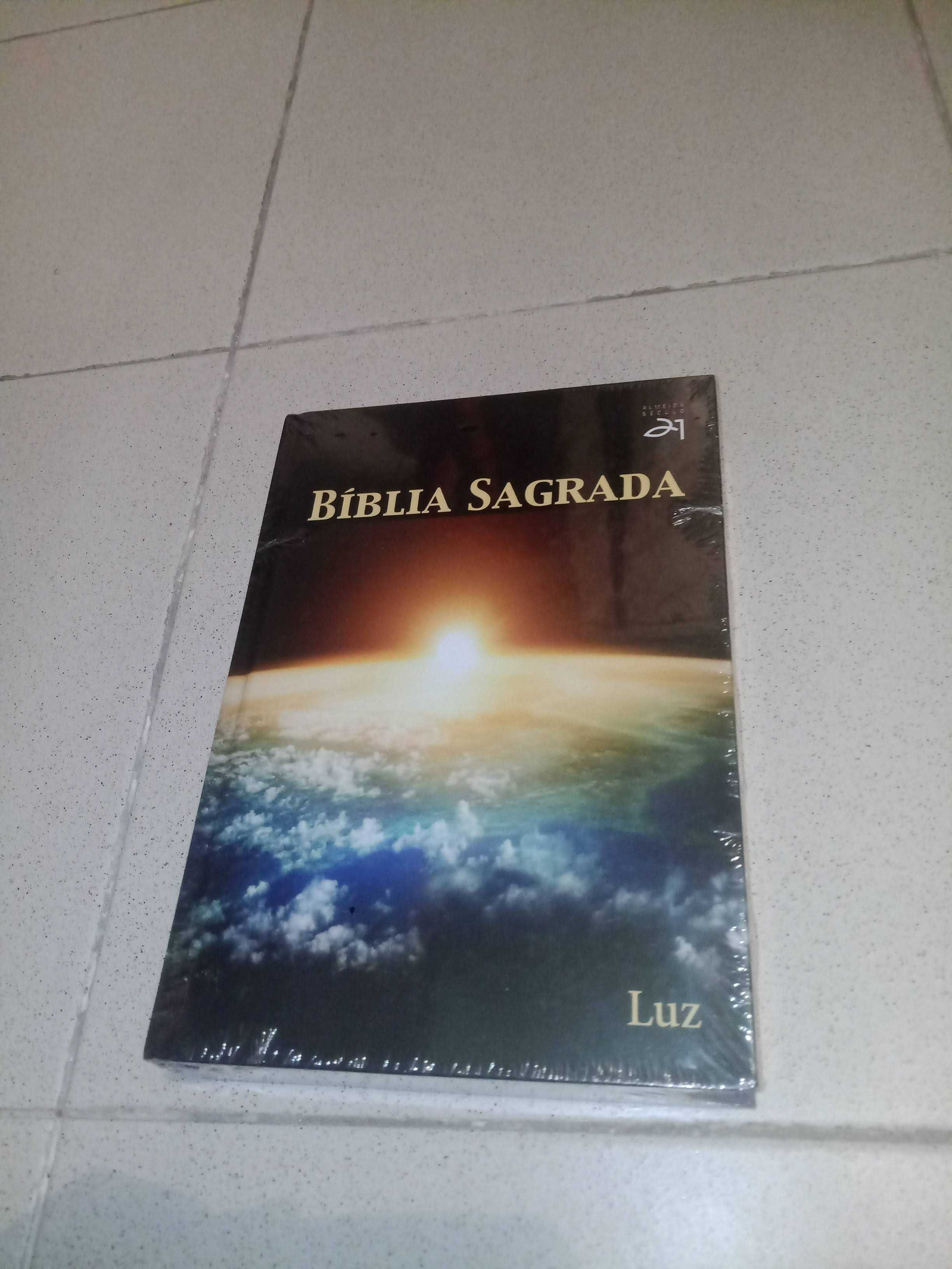 3 Bíblia Sagrada - Oferta