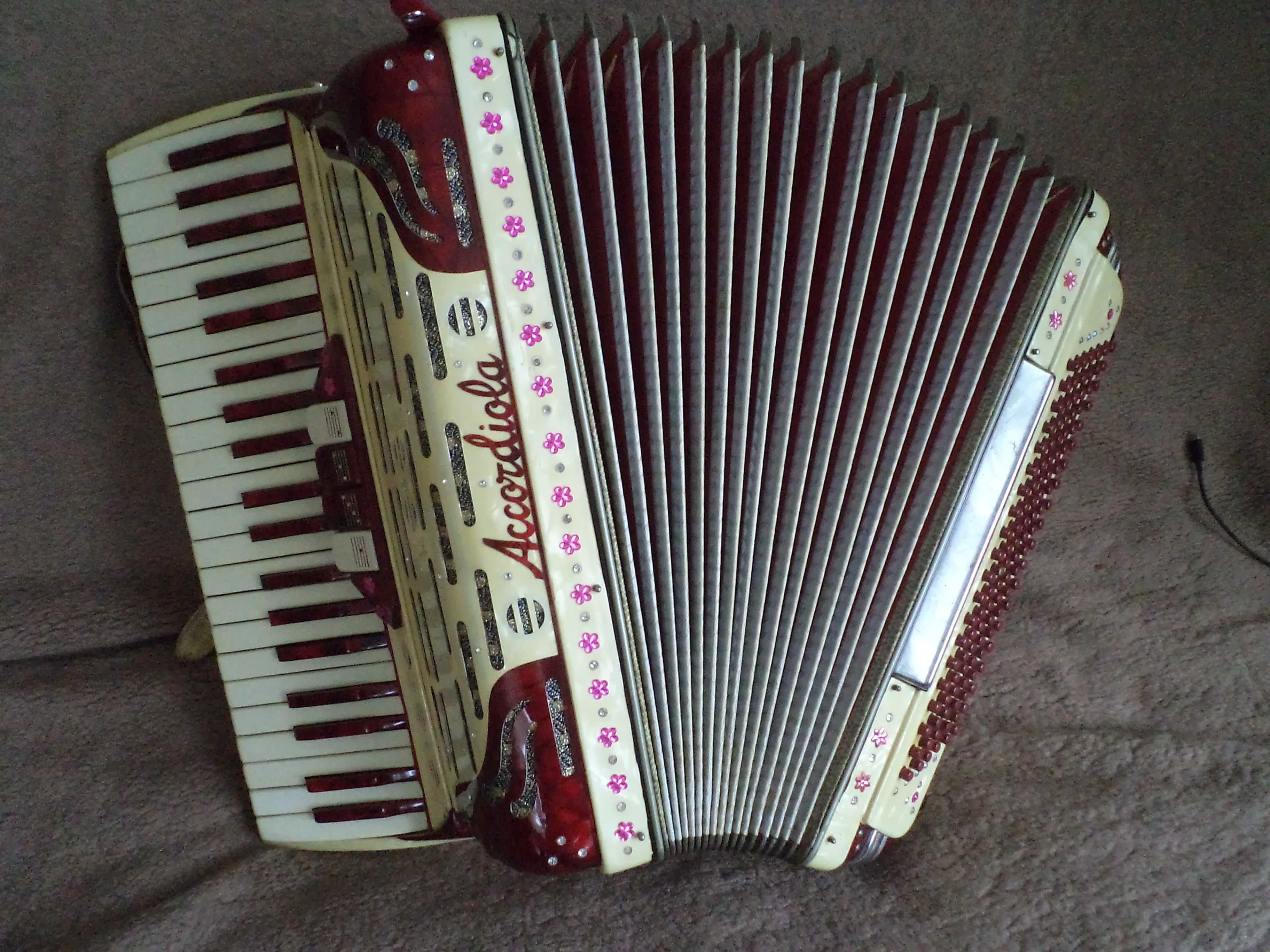 Akordeon Accordiola Camerano 120 basów