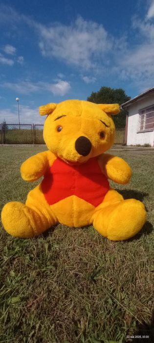 Mega duży miś pluszowy. Kubuś Puchatek.