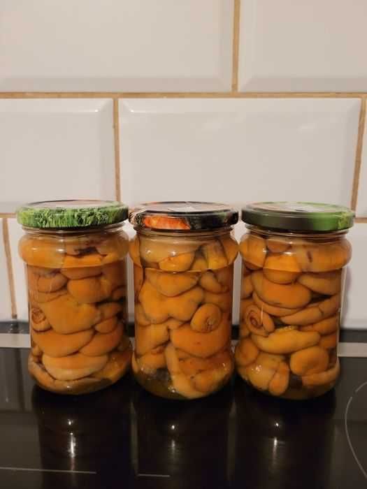 rydze  marynowane   4