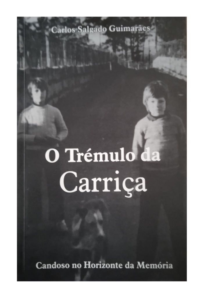 O Trémulo da Carriça  - Candoso - Guimarães 
Carlos Salgado Guimarães