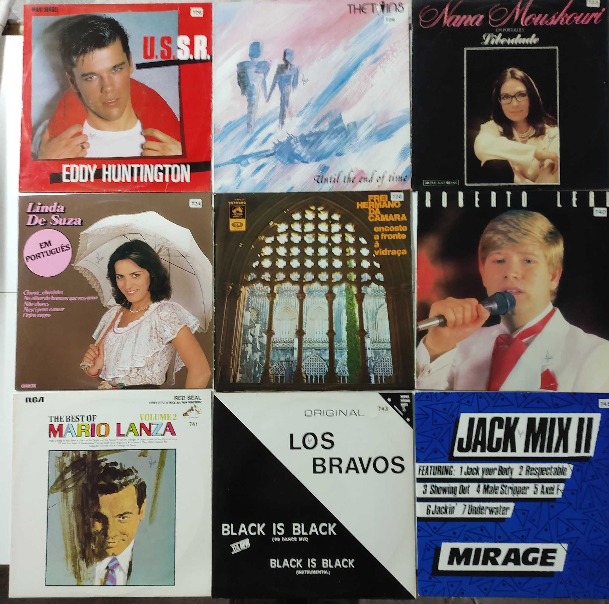 Vários discos de música Vinil LP (grandes)