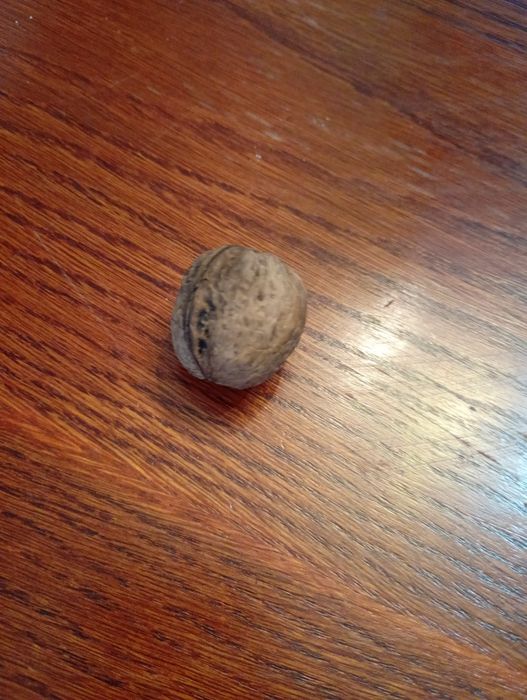 Orzechy włoskie suszone i zwykłe