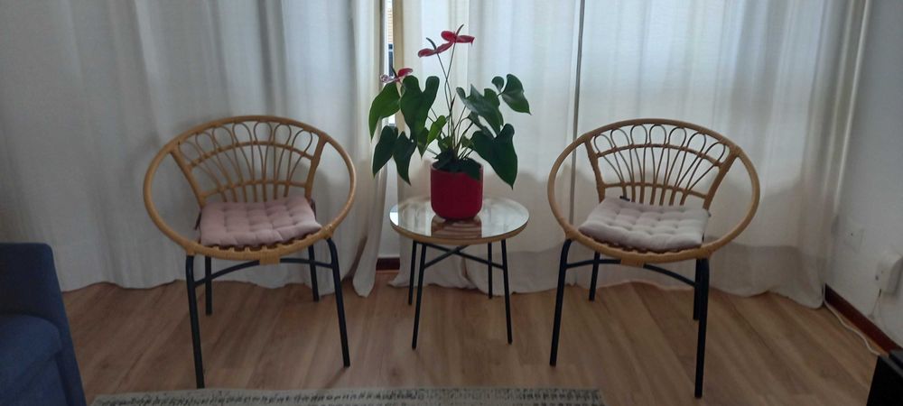 Conjunto para jardim