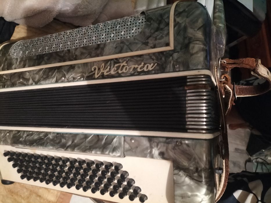 Akordeon Viktoria 80 basów