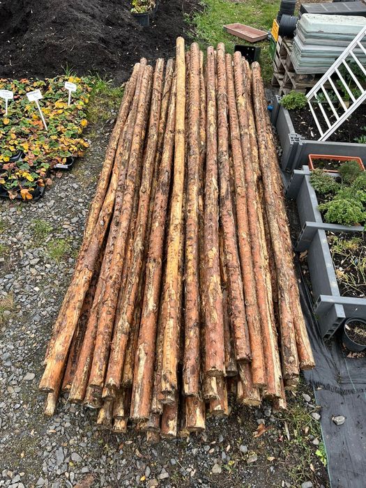 Stemple, paliki, słupki 3 m, 7-10 cm