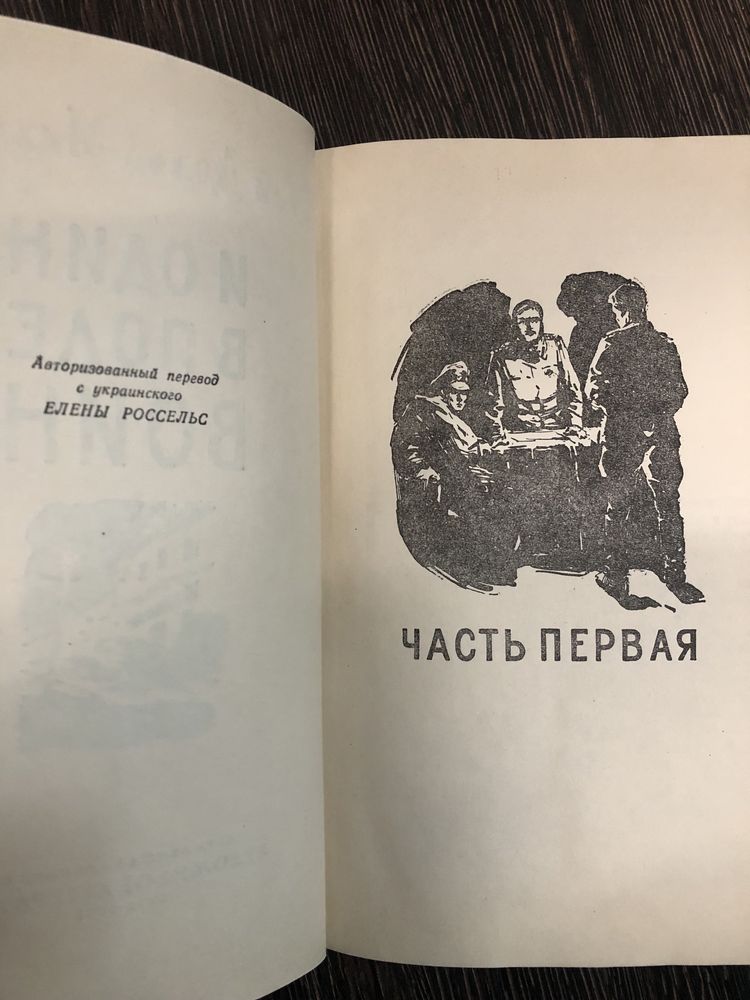 И один в поле воин. Юрий Дольд-Михайлик.