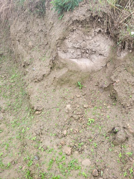 Oddam ziemię na podniesienie terenu