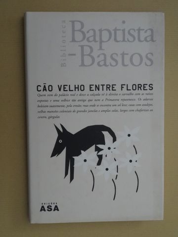 Baptista-Bastos - Vários Livros