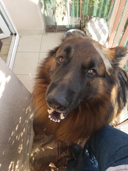 Oddam w dobre rece..