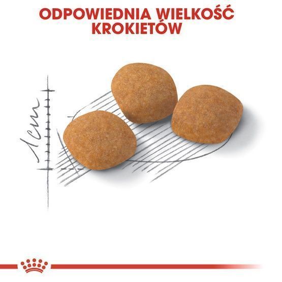 Wysokobiałkowa karma sucha dla wybrednych, kotów Royal Canin 400g