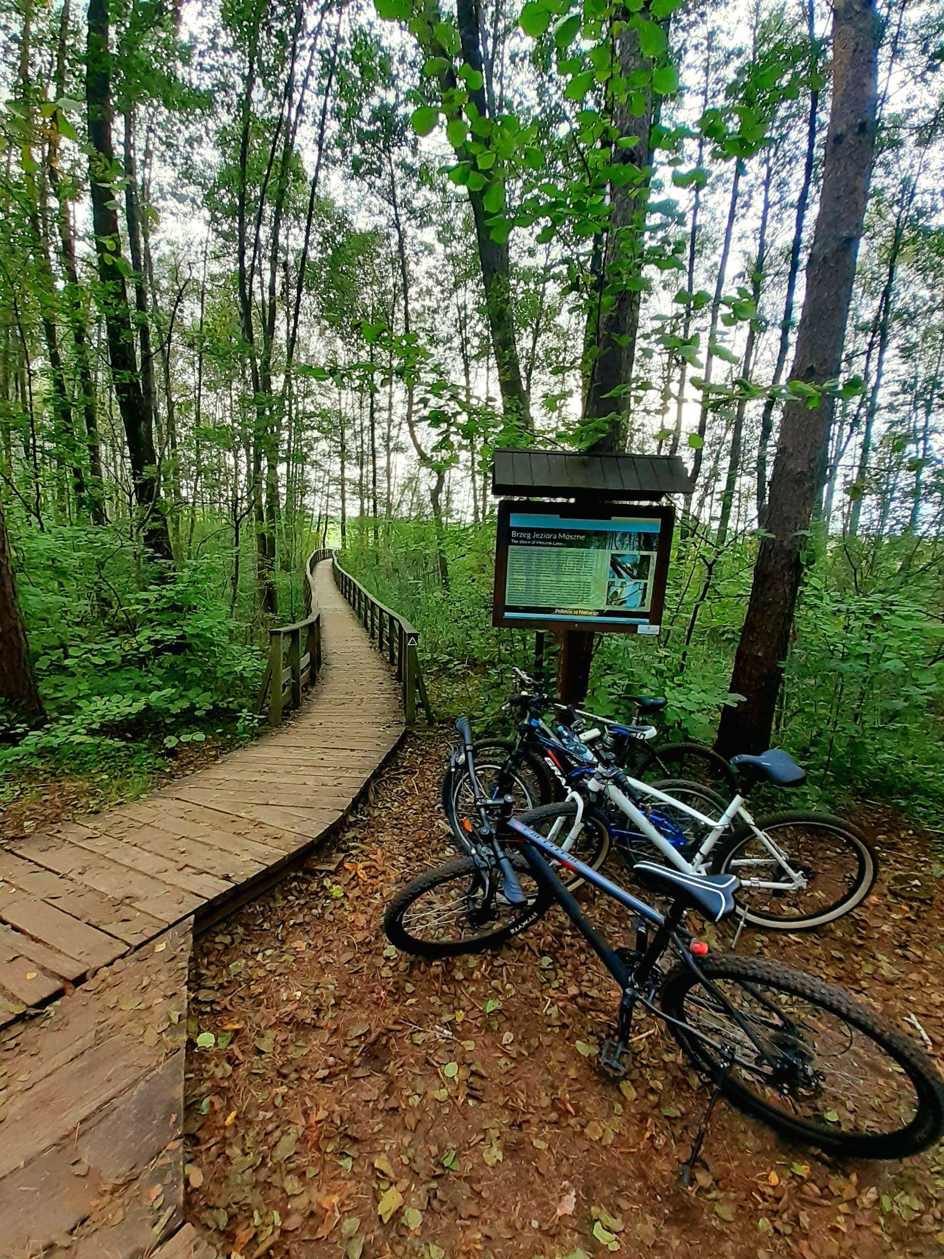 Domki letniskowe JEZIORO ZAGŁĘBOCZE Poleski Park Pojezierze