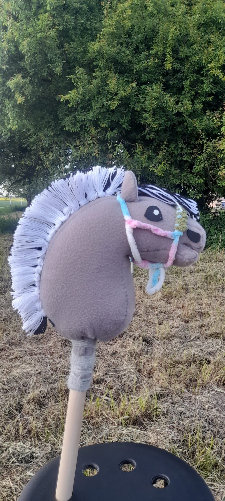 Hobby horse fiord
