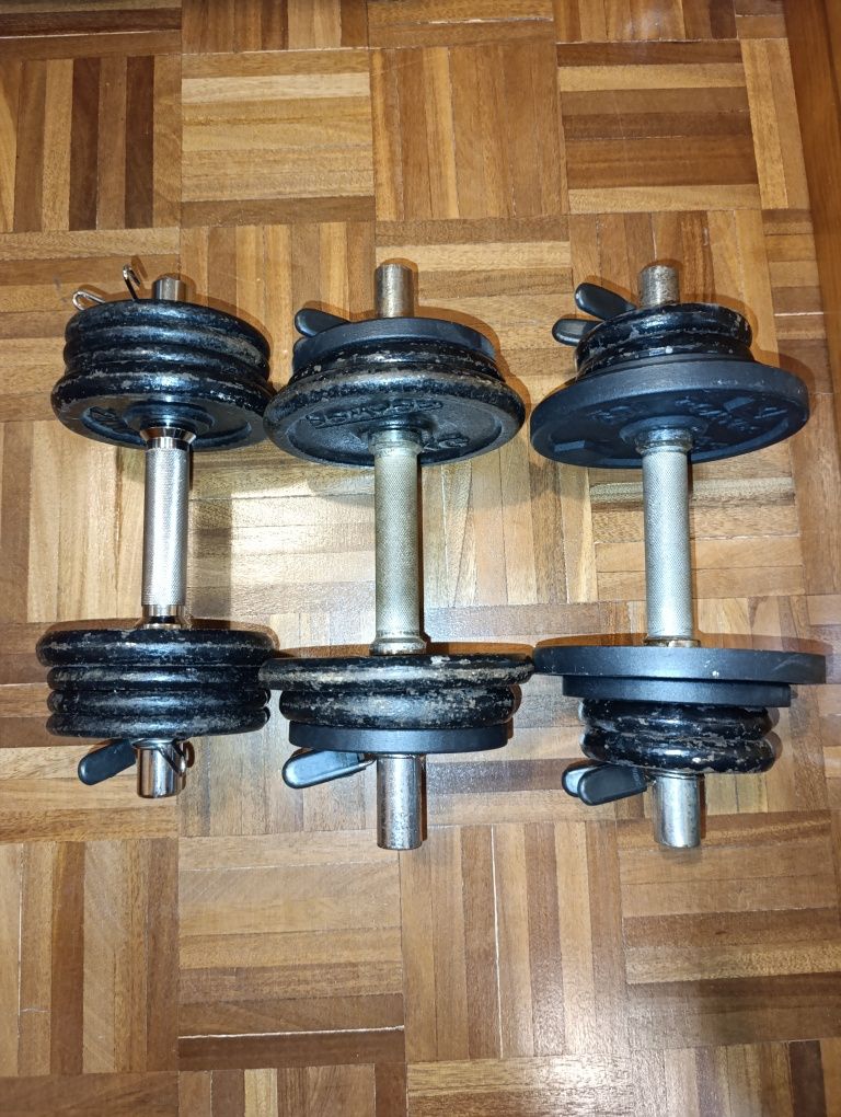Halteres Musculação 3 x 12KG