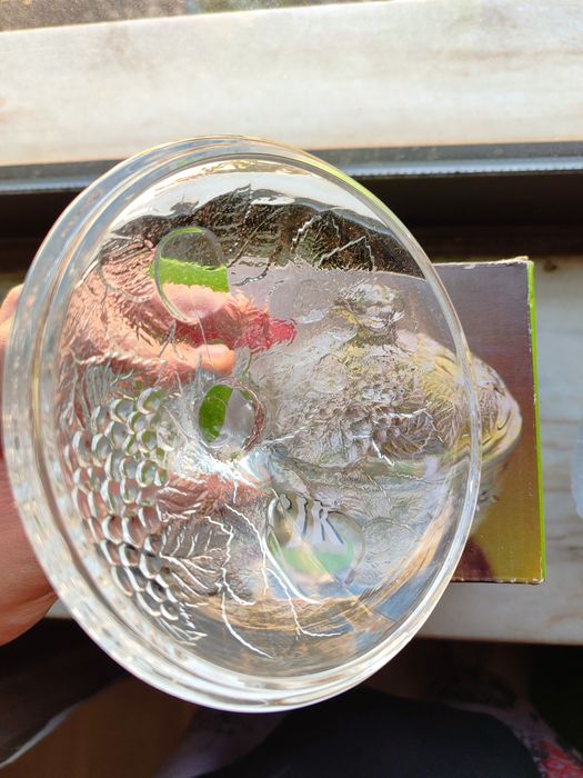 Piknik em vidro efeito