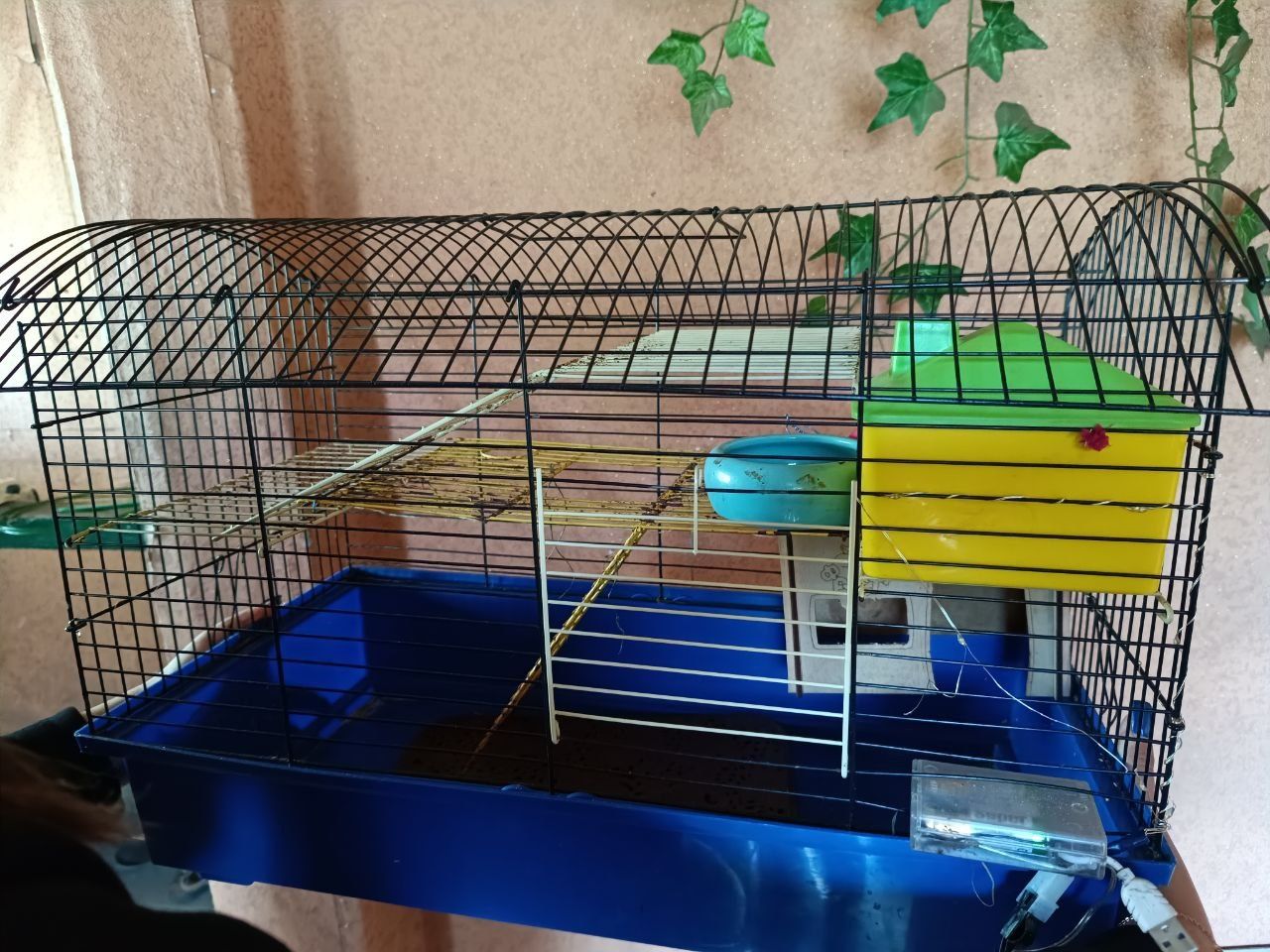 Клетки для крысы