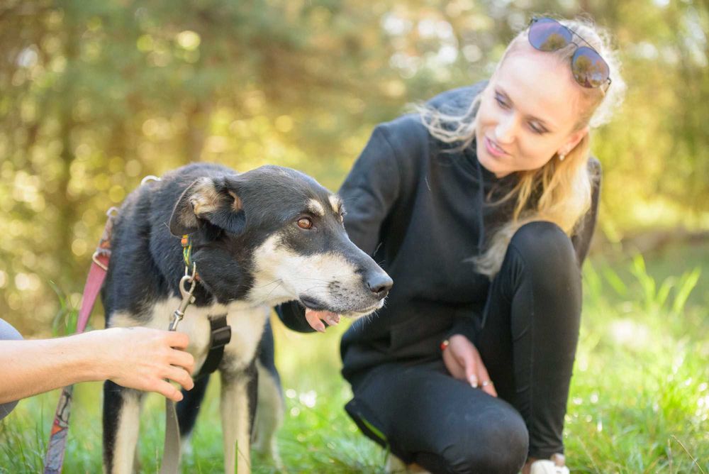 DEZRA - młodziutka, spora, trochę nieśmiała dziewczyna