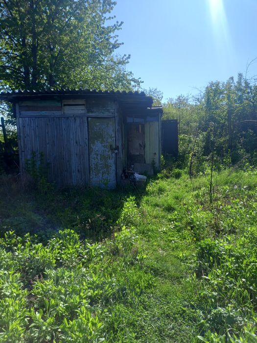 Дача с.Грузевиця(Вишневий сад)