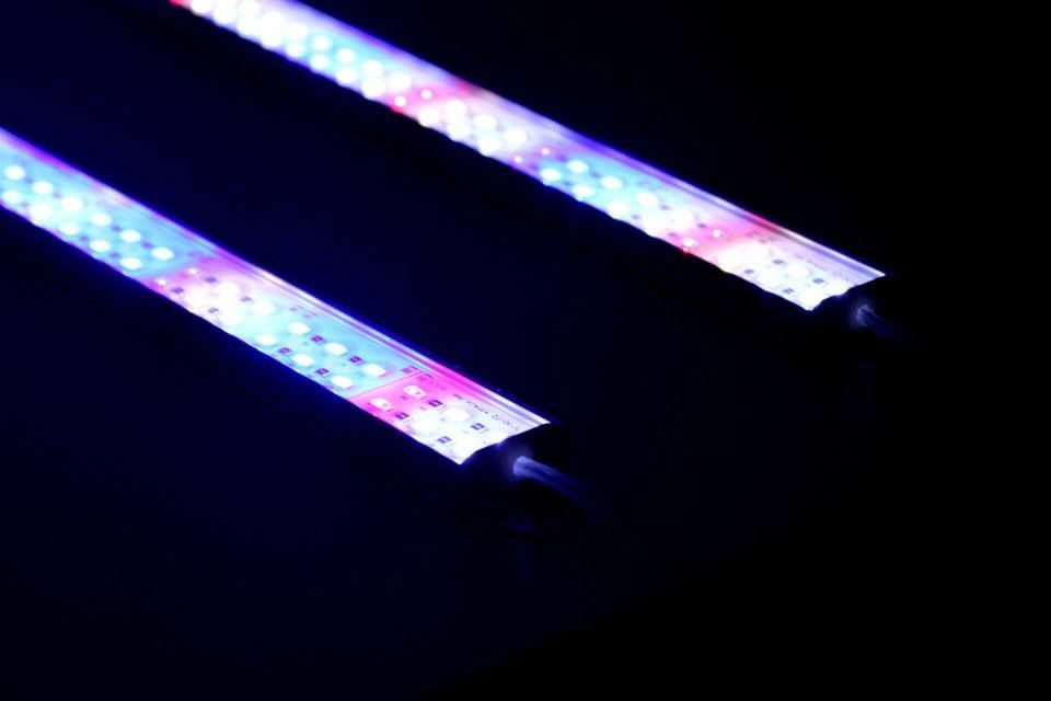 Barras led especificas para aquario 64w 8640 lumens
