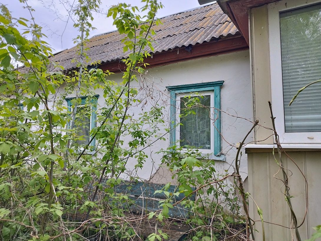 Продам хату с. Здвижка Житомирска обл.