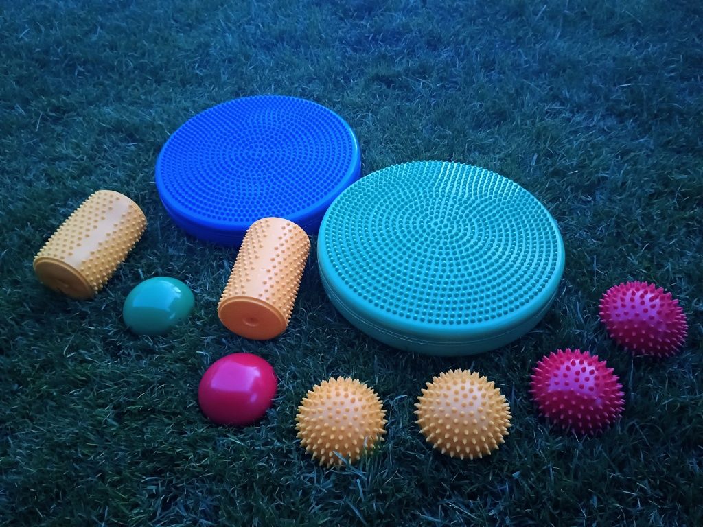 Tor sensorycznyy