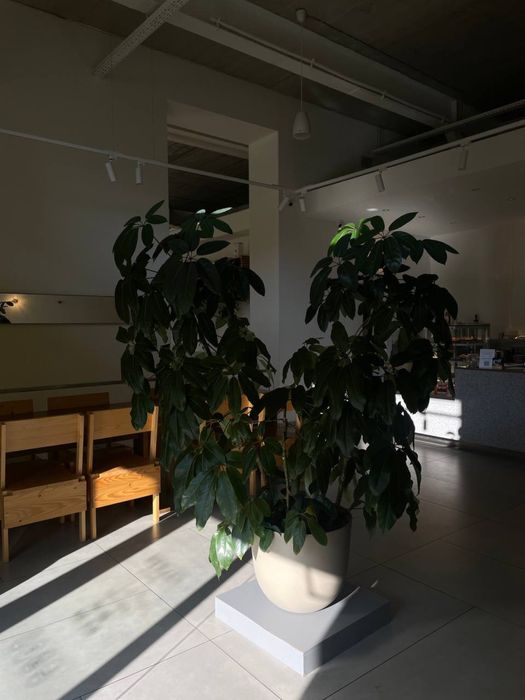 Продається кав’ярня 130 м² з власною кухнею та преміум-обладнанням