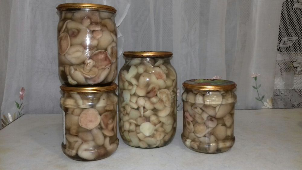 Маринованные грибы
