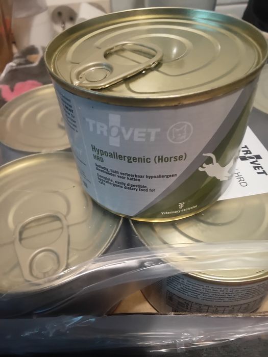 Karma hypoalergiczna dla kota koń