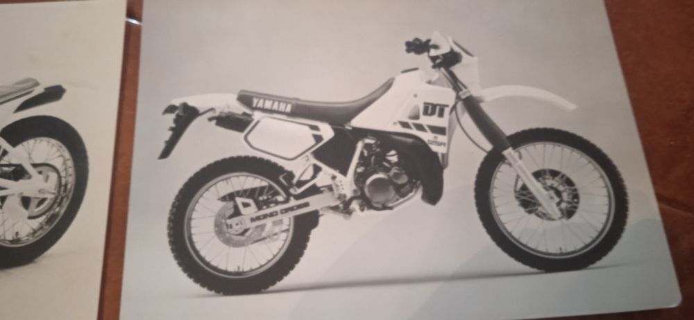 44 Fotos / Postais, Motas, 17,5x13