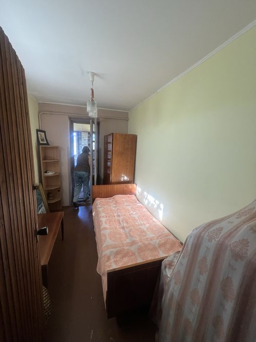 Калинка велика керниця