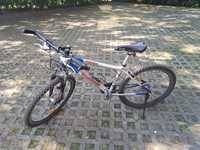 Rower MTB 26cali