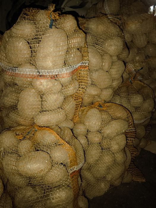 Ziemniaki Ekologiczne Vineta bez nawozu | Prosto od rolnika