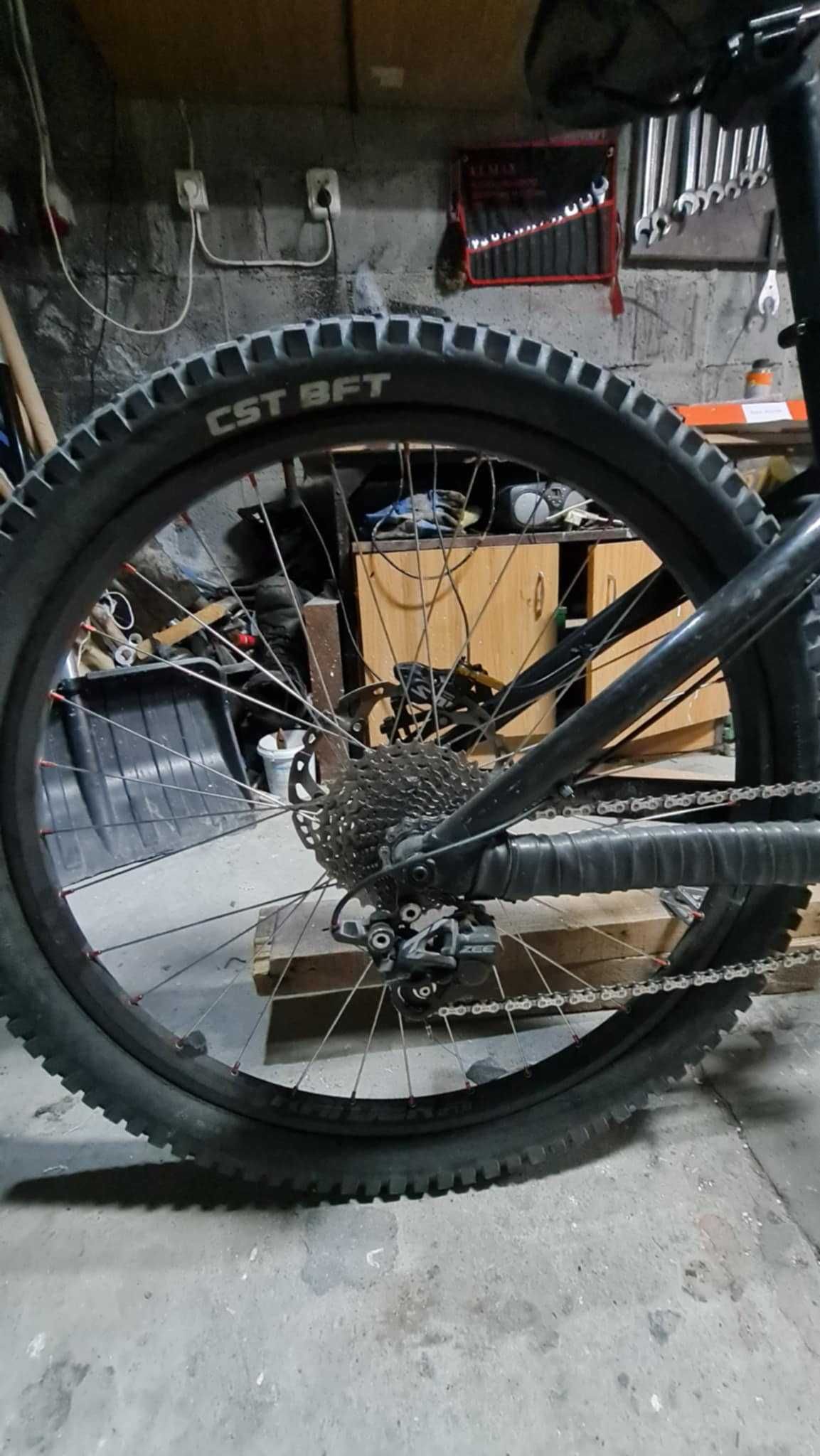 Dartmoor Hornet 2021 custom M
