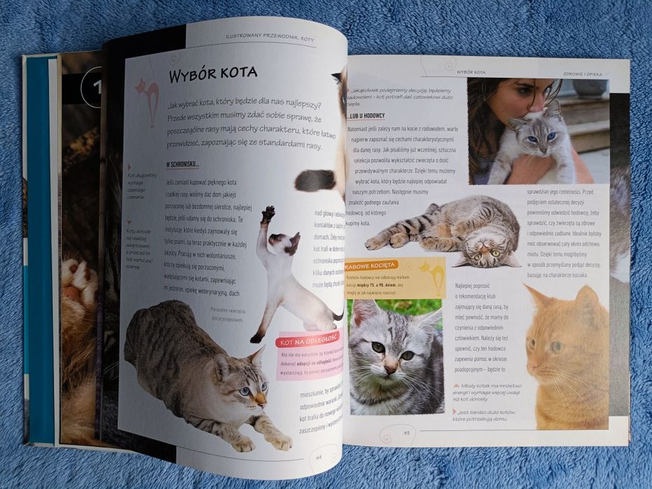 Nowy pięknie ilustrowany przewodnik Koty opieka, wybór, rasy