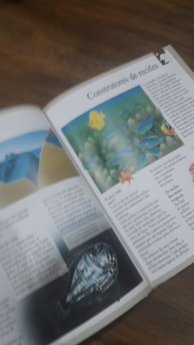 Livro "Imagem Descoberta do Mundo"