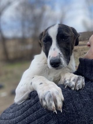 Знайдись, родина!