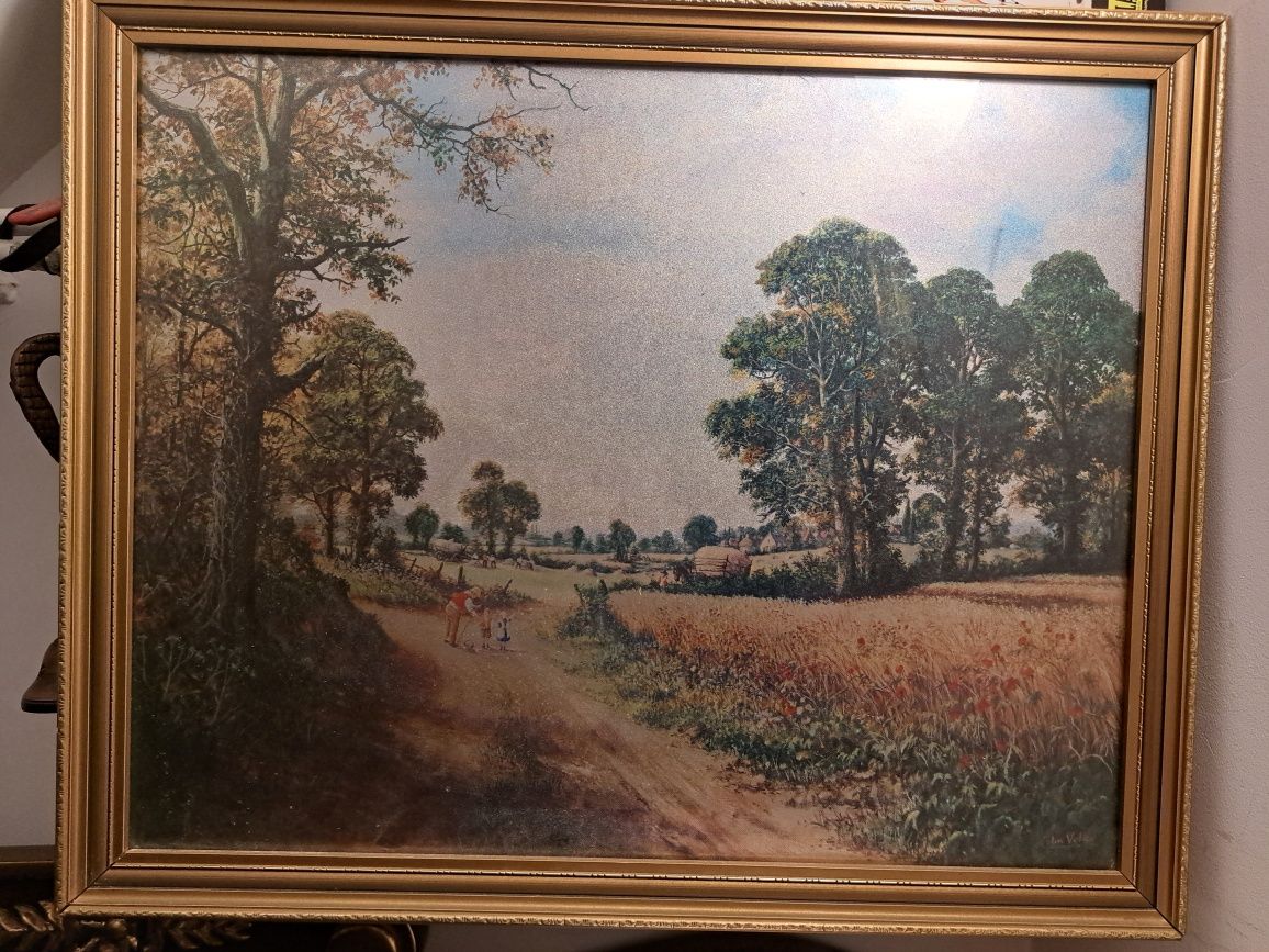 Obraz z natura za szklem