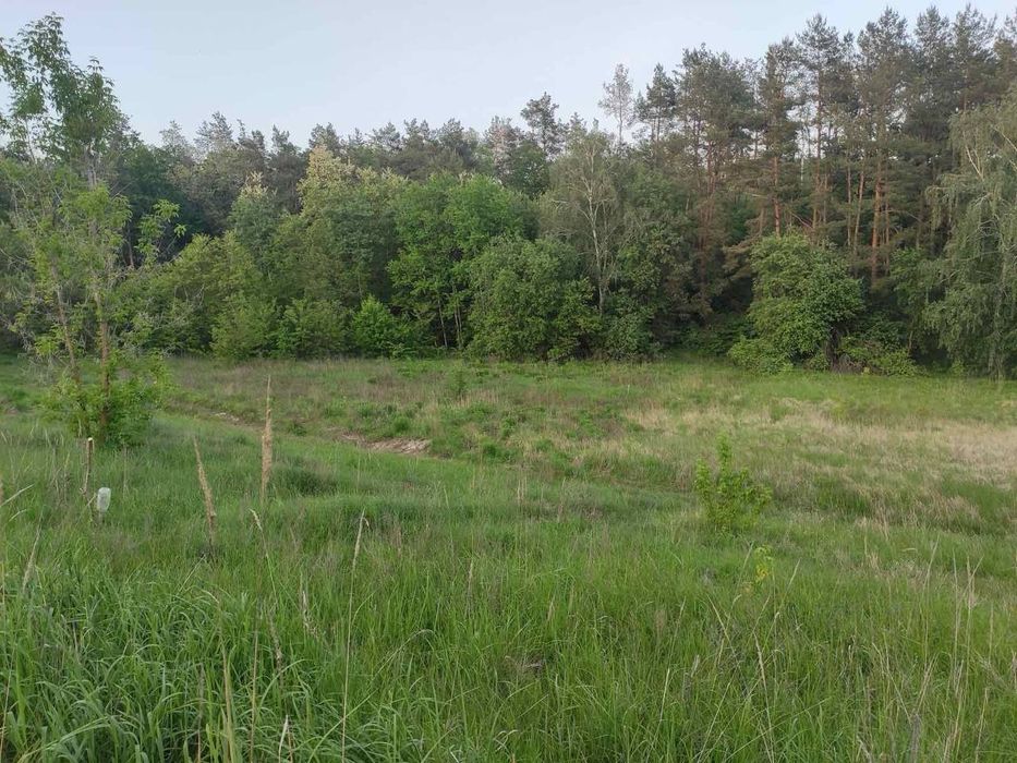 Продаж ділянки Лісники. ОСТАННІЙ З НАЙКРАЩИХ