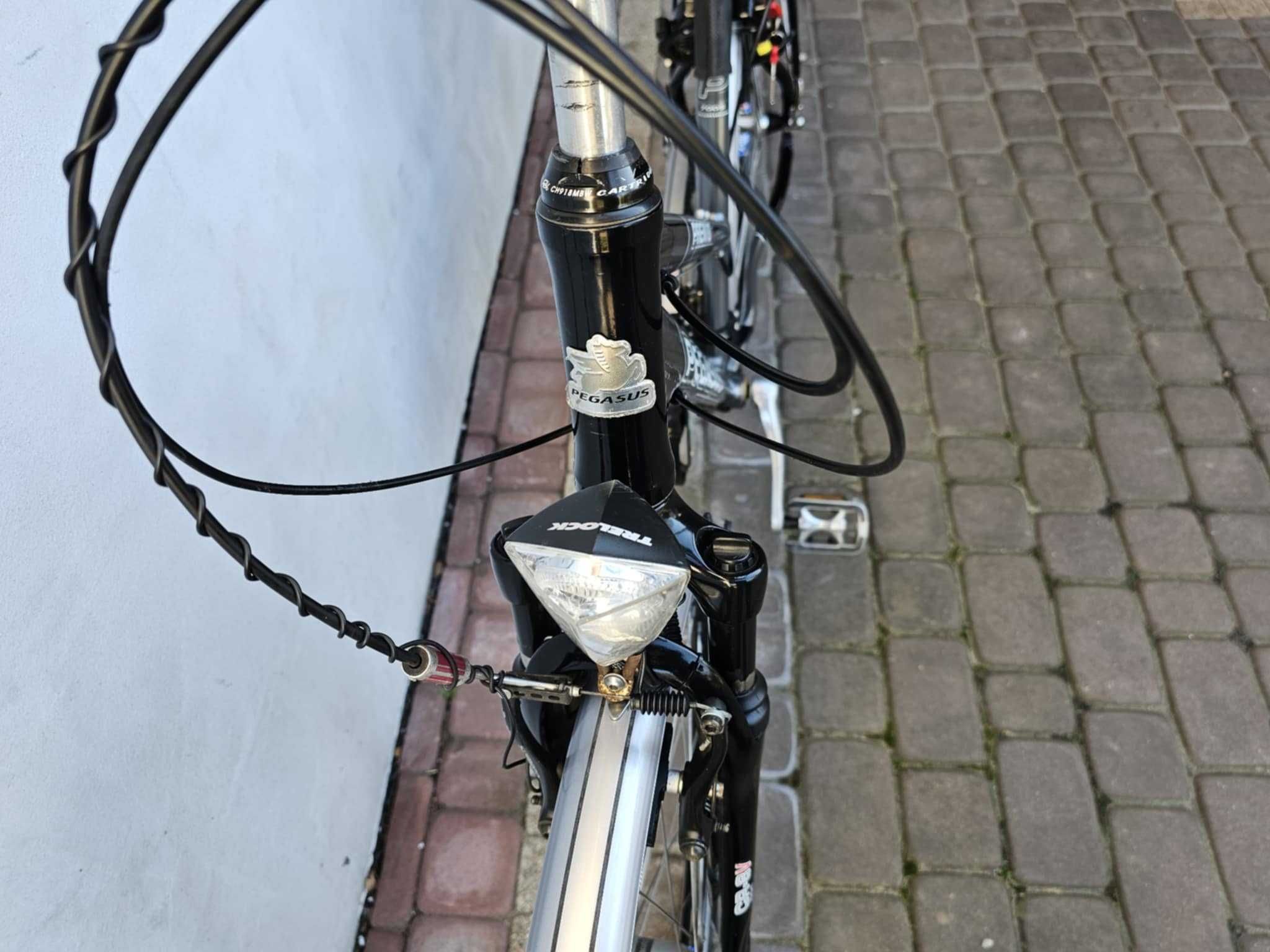Rower trekkingowy PEGASUS