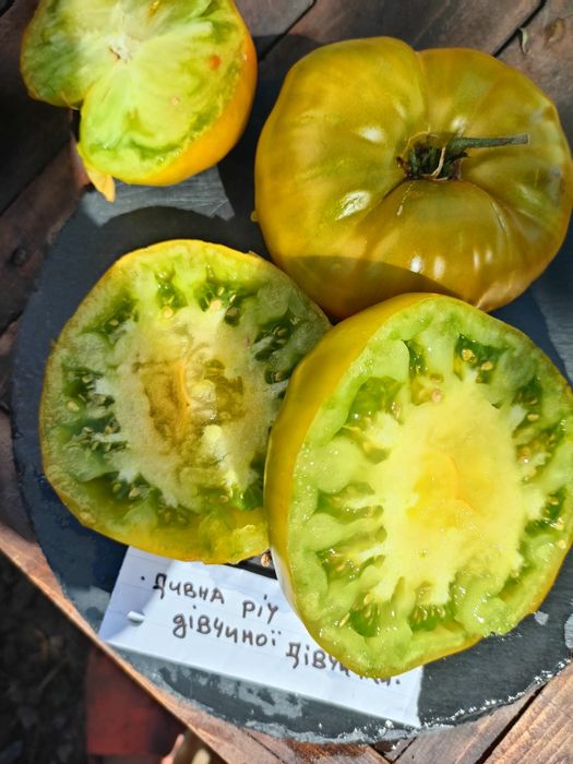 Набір колекційного насіння томатів " Калейдоскоп"