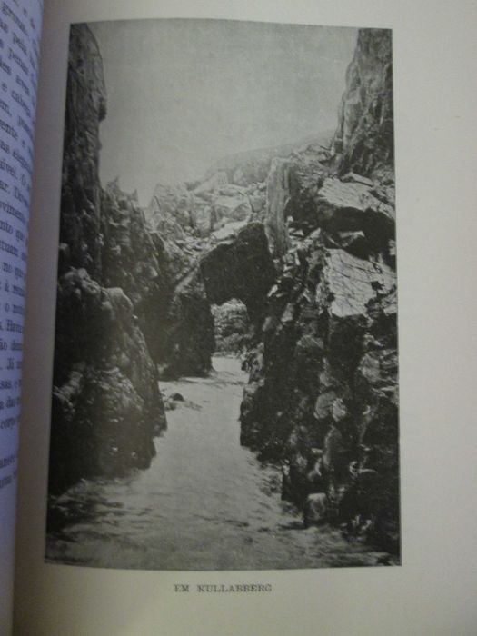 A maravilhosa viagem de Nils Holgersson- Selma Lagerlof