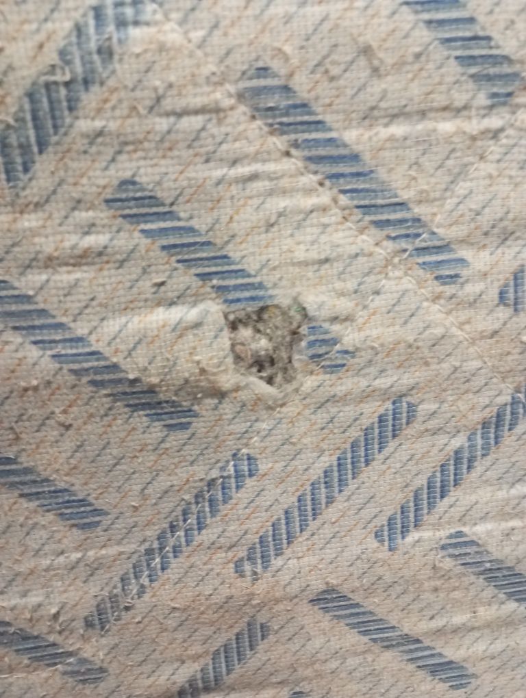 Colchão Cama Solteiro