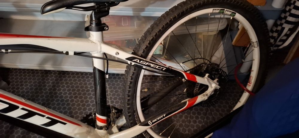 scott aspect 30 criança