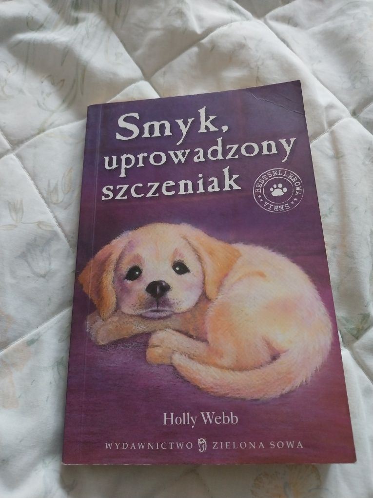 Smyk uprowadzony szczeniak Holly Webb