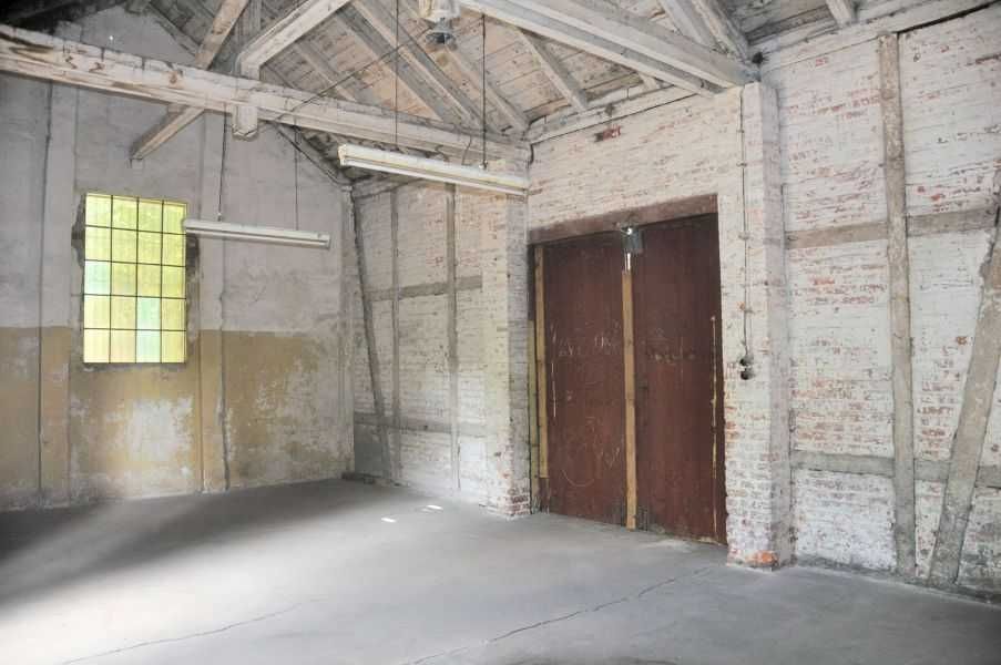 Lokal na działalność