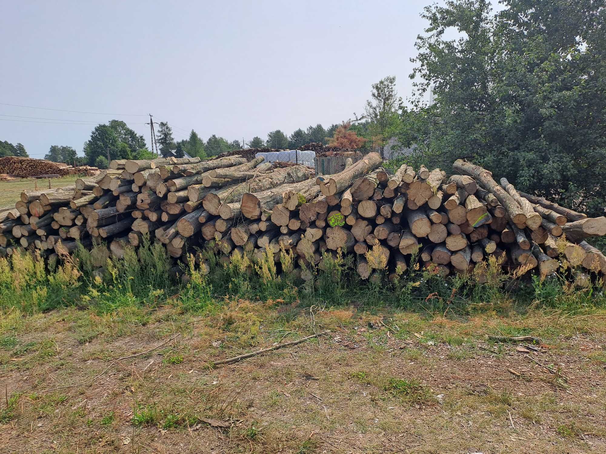 Drewno opałowe/kominkowe dąb