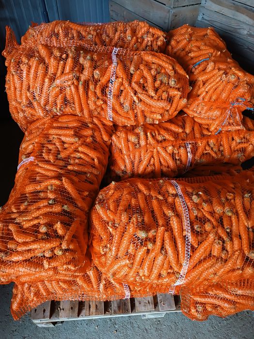 Sprzedam marchew ziemniaki